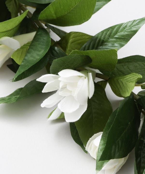 マウナロア Maunaloa チューブローズマイレレイ （ホワイト） ホワイト