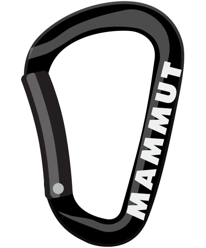 マムート MAMMUT MAMMUT マムート アウトドア Mammut Mini Carabiner Classic Keylock S 281000300 000 （BLACK） BLACK