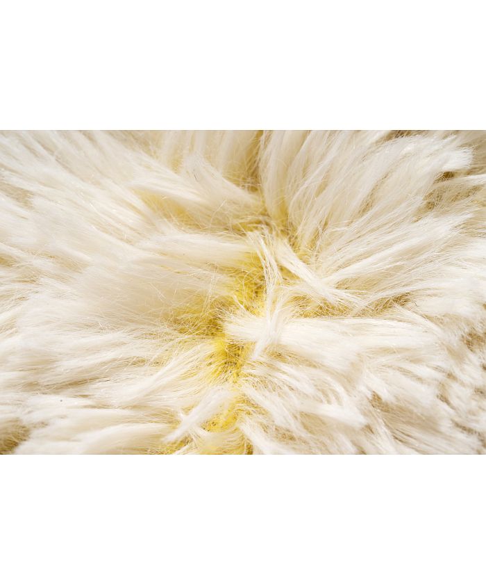 BRID SECTION COLOR RUG 50×70