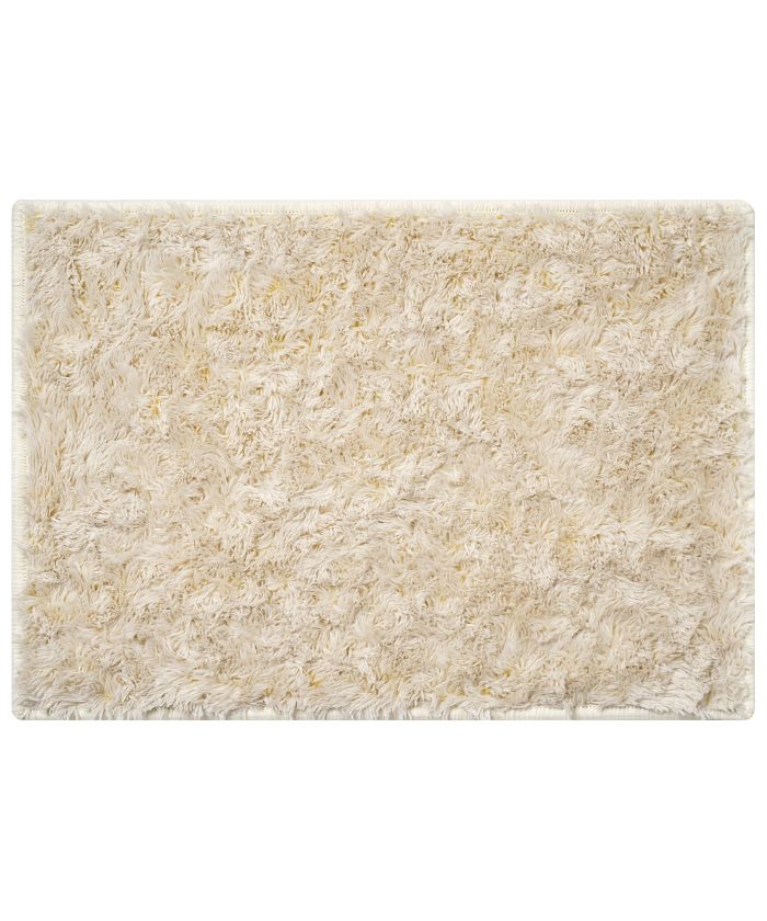BRID SECTION COLOR RUG 50×70