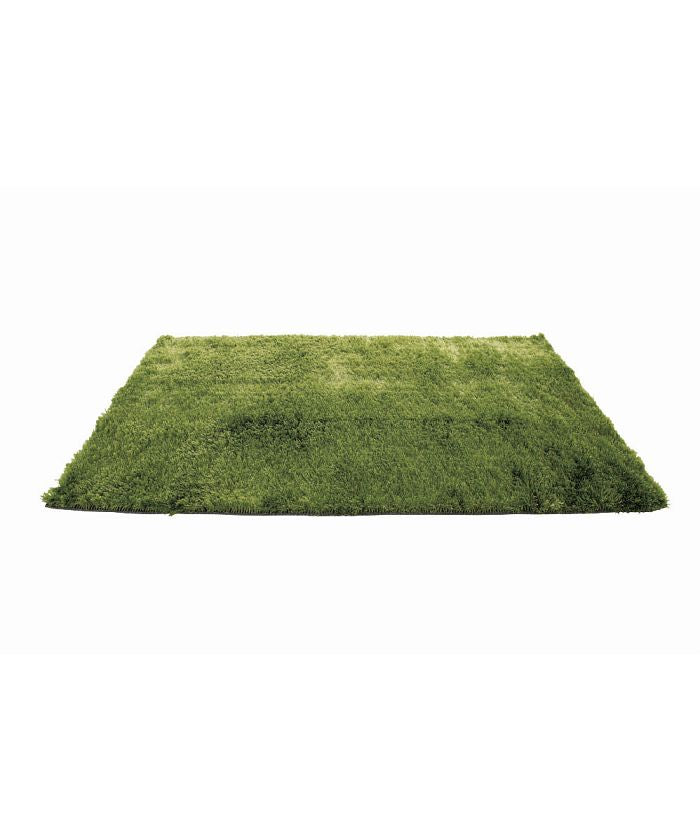 BRID GRASS RUG 200×200