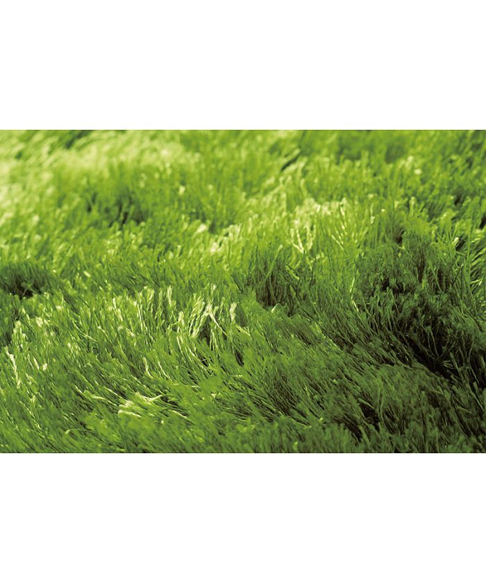 BRID GRASS RUG 200×200
