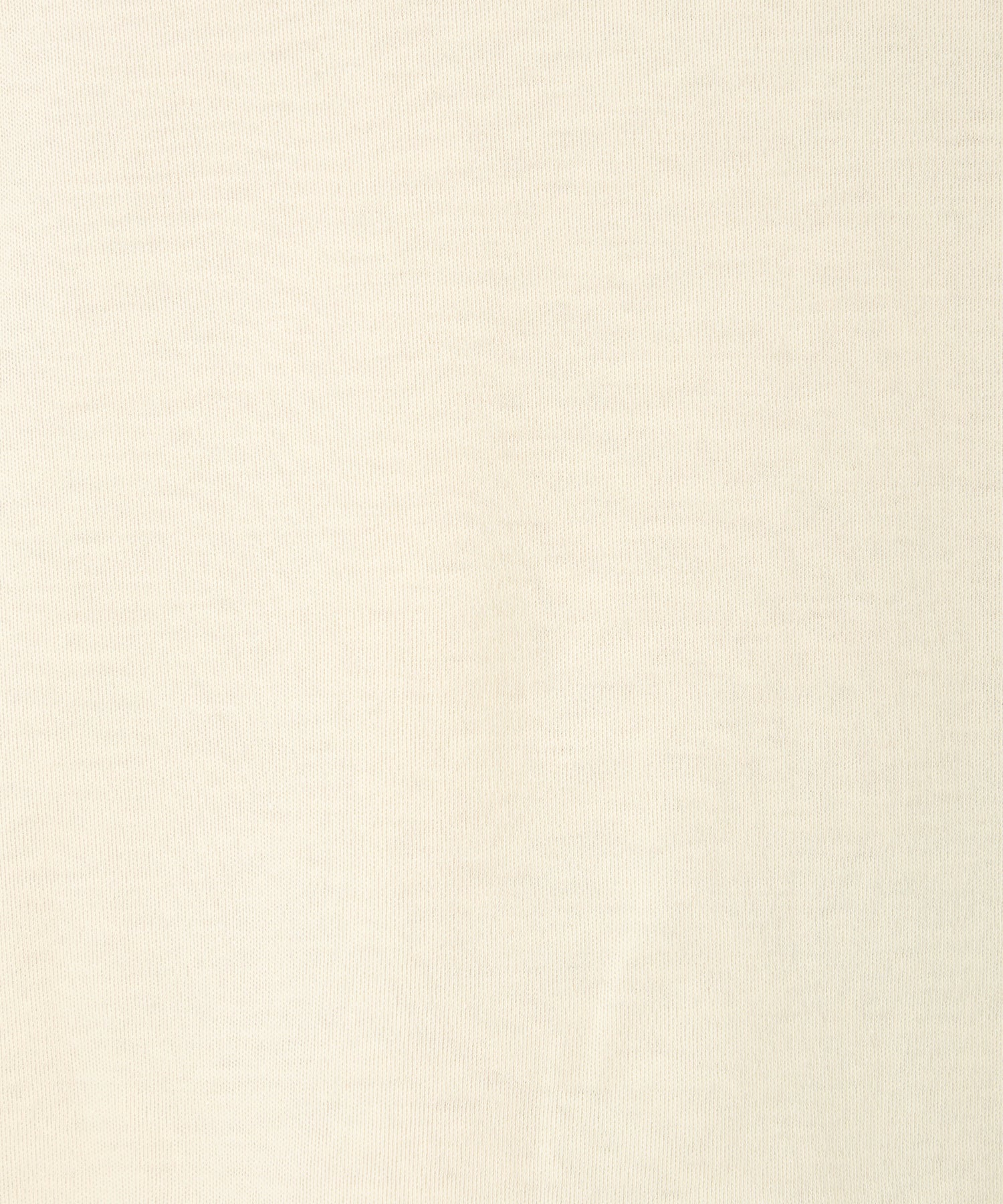 ミッシュマッシュ MISCH MASCH 2025春夏新作 バックフォトTシャツ （WHITE） WHITE