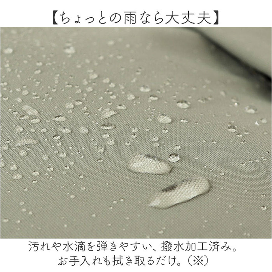 バックヤードファミリー BACKYARD FAMILY kippis キッピス 2wayトートリュック （Sグリーン） Sグリーン