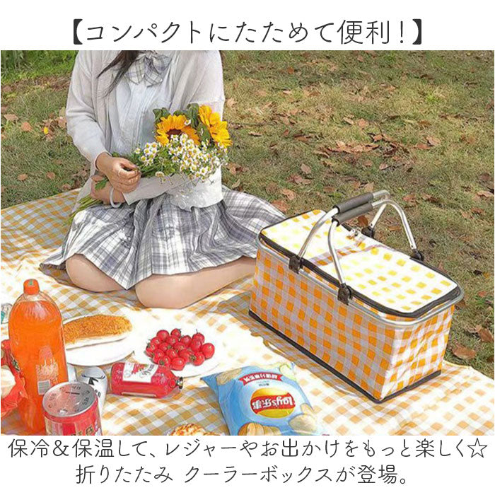 バックヤードファミリー BACKYARD FAMILY 折りたたみ クーラーボックス 大容量 持ち運び （レッド） レッド