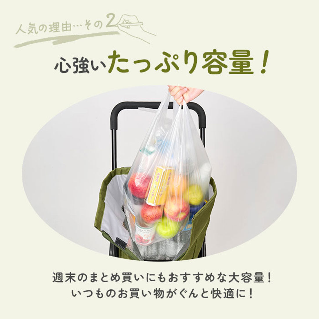 バックヤードファミリー BACKYARD FAMILY cocoro コ・コロ 前押し4輪カート （ブラック） ブラック