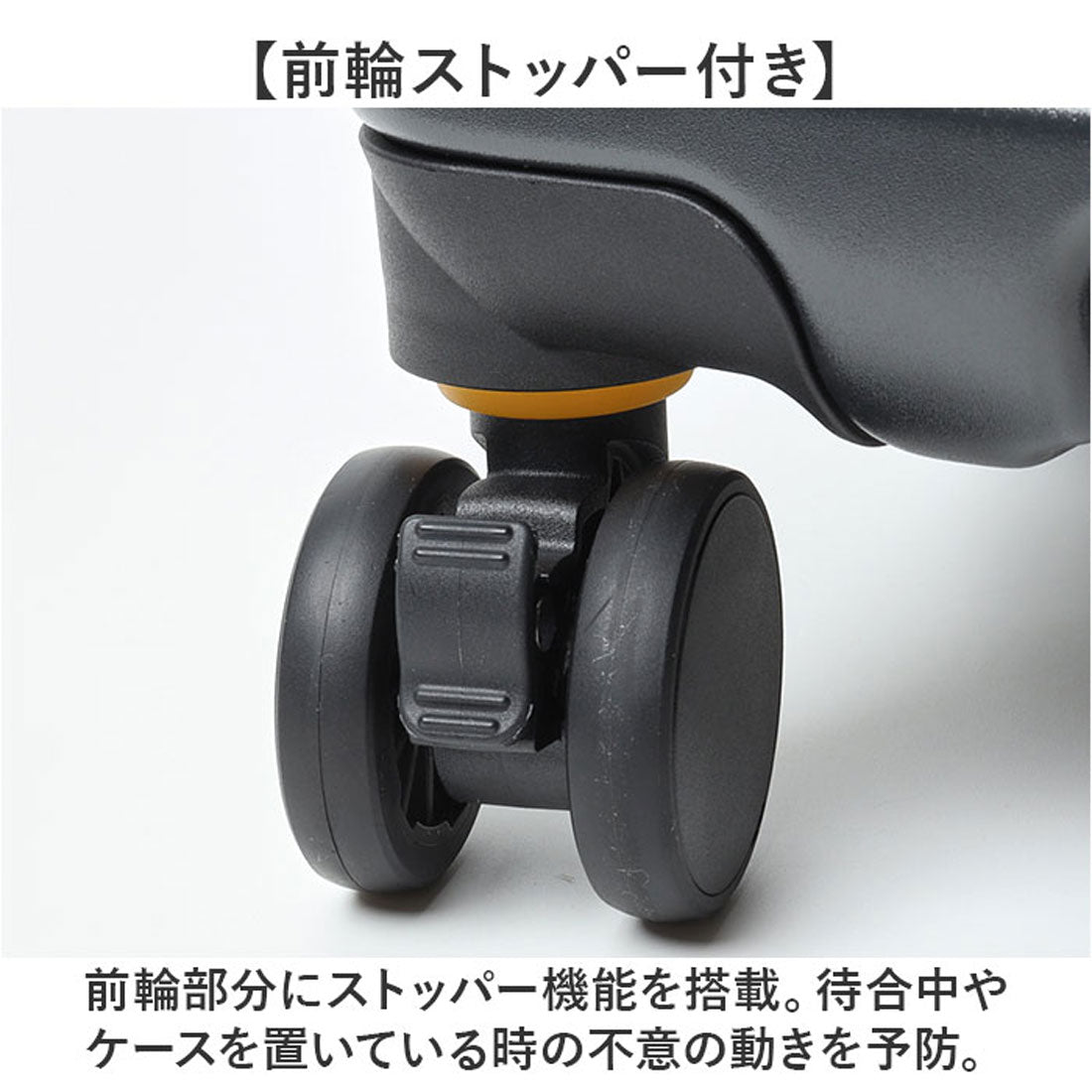 バックヤードファミリー BACKYARD FAMILY 5LAKES&MT C GEAR キャリーケース （YELLOW） YELLOW