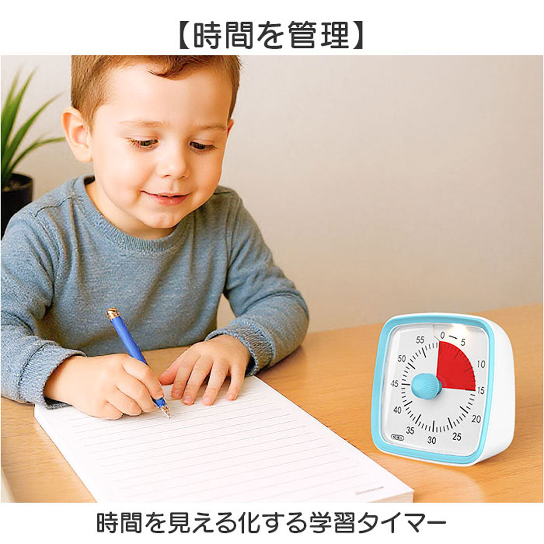 バックヤードファミリー BACKYARD FAMILY タイマー 子供 勉強 学習タイマー 時間管理 （パープル） パープル