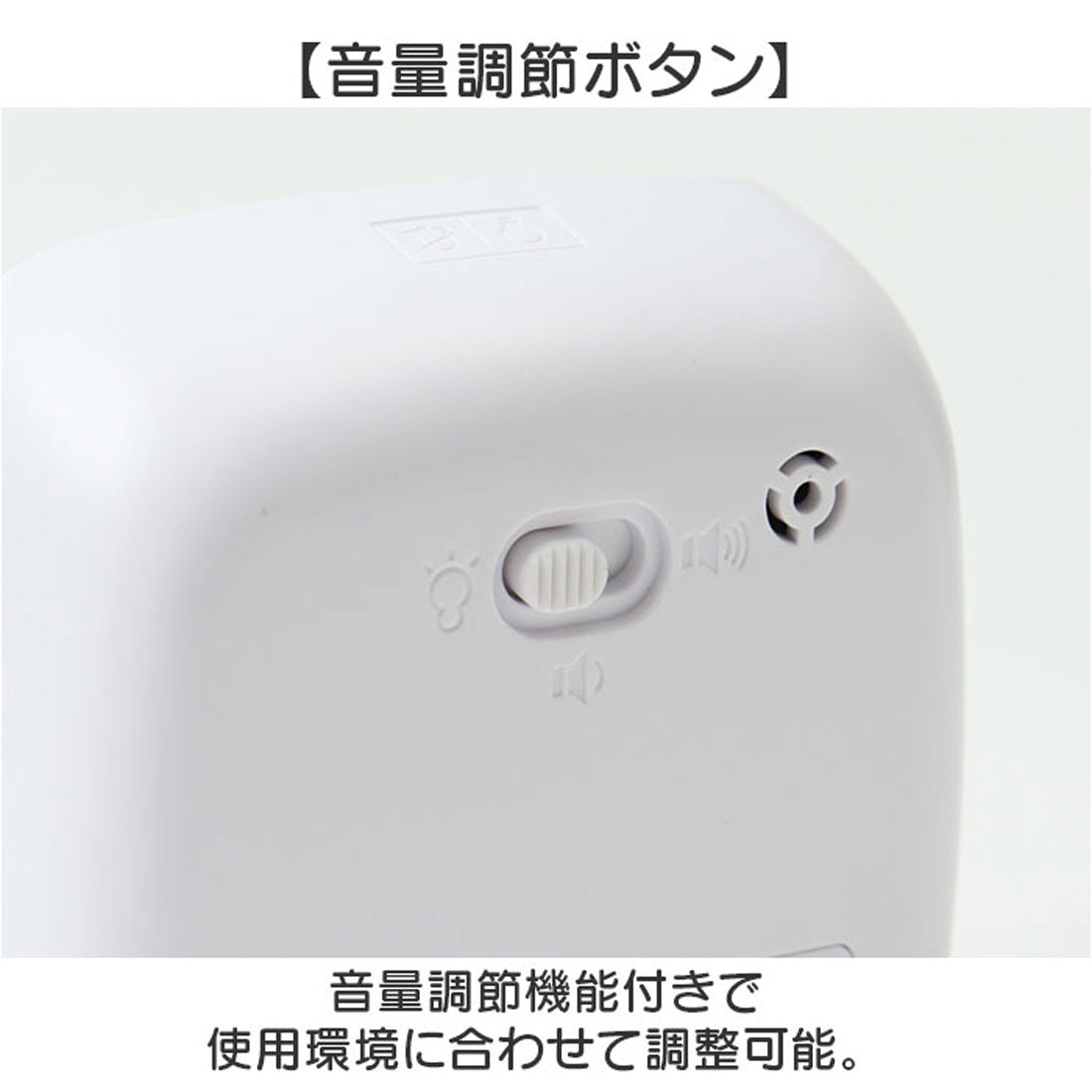 バックヤードファミリー BACKYARD FAMILY タイマー 子供 勉強 学習タイマー 時間管理 （パープル） パープル