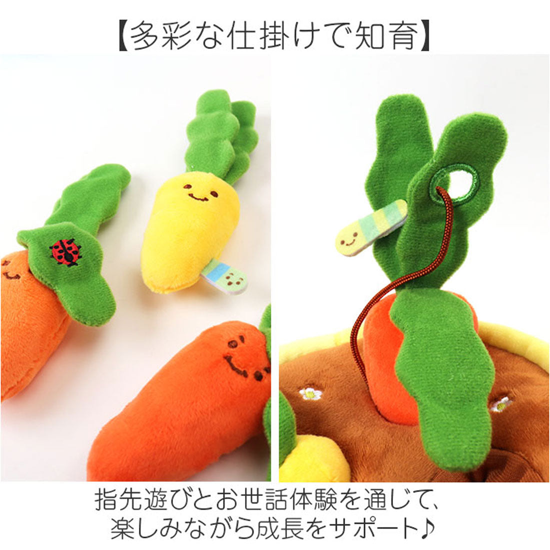バックヤードファミリー BACKYARD FAMILY ミニファームシリーズ ぱりぱりにんじん畑 （ぱりぱりにんじん畑） ぱりぱりにんじん畑