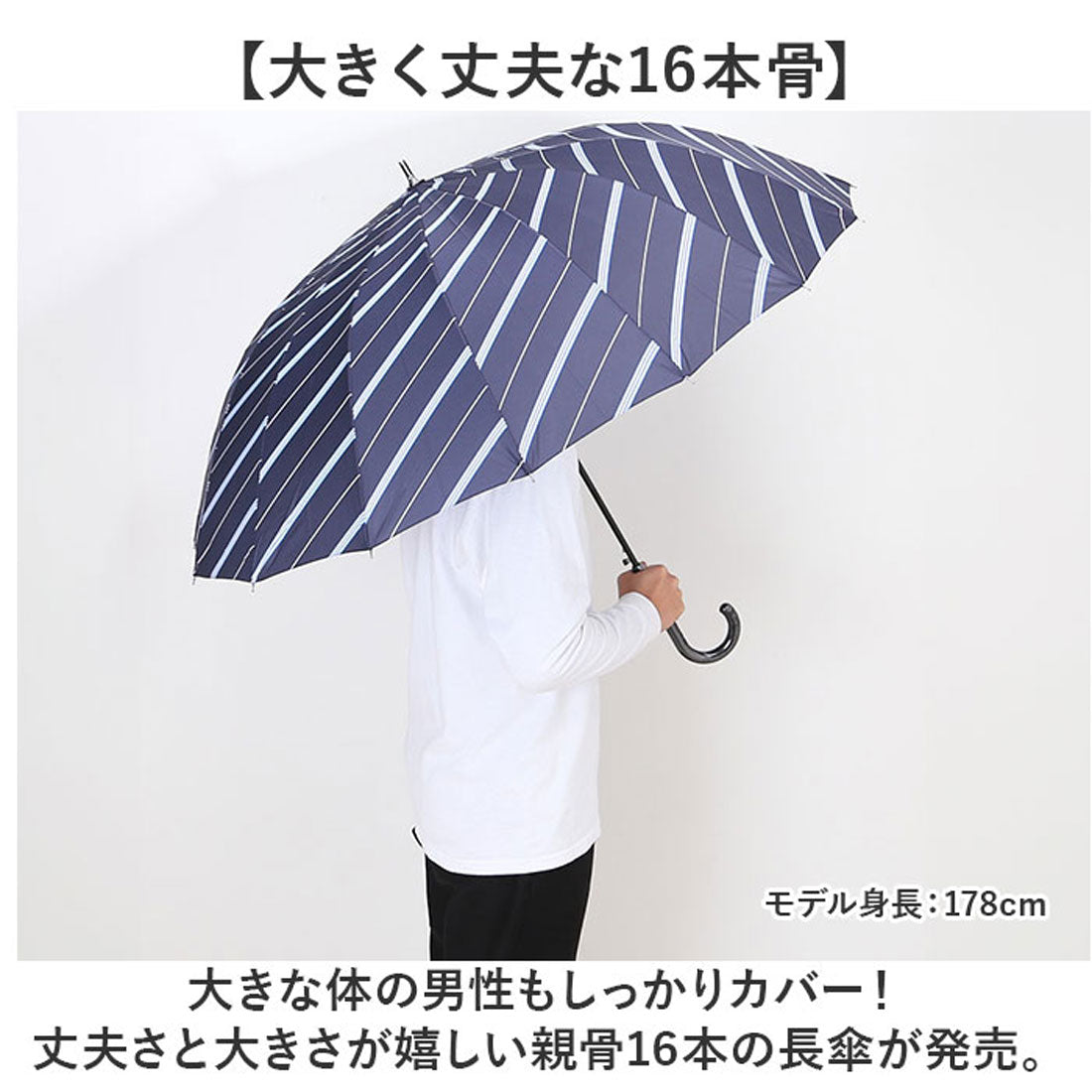 バックヤードファミリー BACKYARD FAMILY 65cm 16本骨傘 メンズ （ドットラインストライプ/M） ドットラインストライプ/M