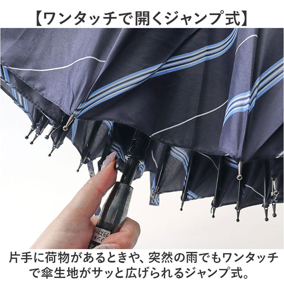 バックヤードファミリー BACKYARD FAMILY 65cm 16本骨傘 メンズ （ドットラインストライプ/M） ドットラインストライプ/M