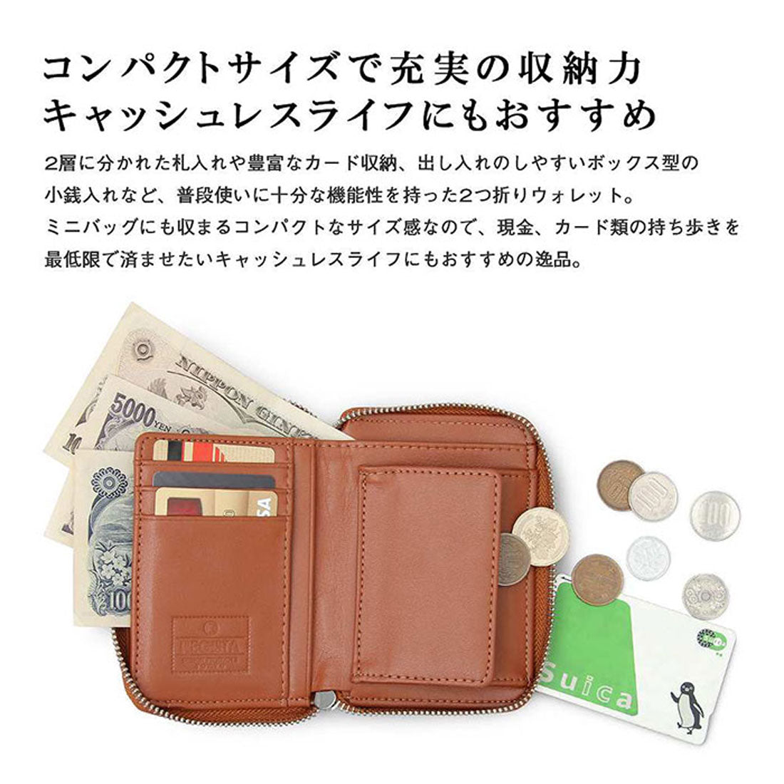 バックヤードファミリー BACKYARD FAMILY REGiSTA SPLIT LEATHER BILLFOLD WALLET （BLACK） BLACK