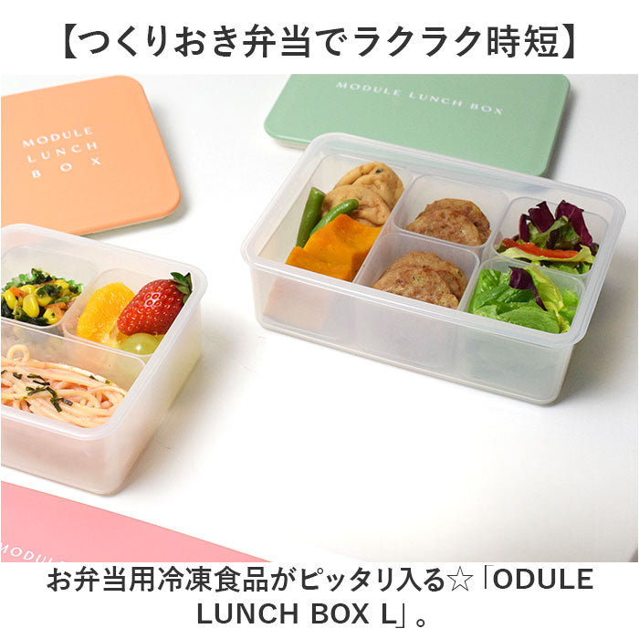 バックヤードファミリー BACKYARD FAMILY MODULE LUNCH BOX L （ブルー） ブルー