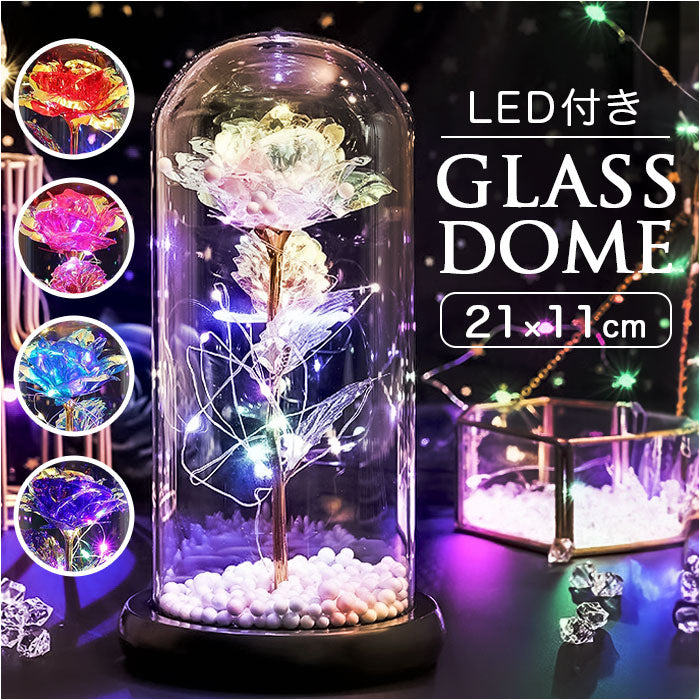 バックヤードファミリー BACKYARD FAMILY ガラスドーム 飾り おしゃれ LED付き （ブルー） ブルー