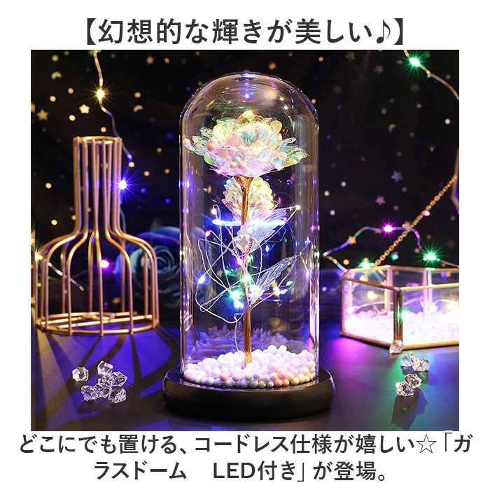 バックヤードファミリー BACKYARD FAMILY ガラスドーム 飾り おしゃれ LED付き （ブルー） ブルー