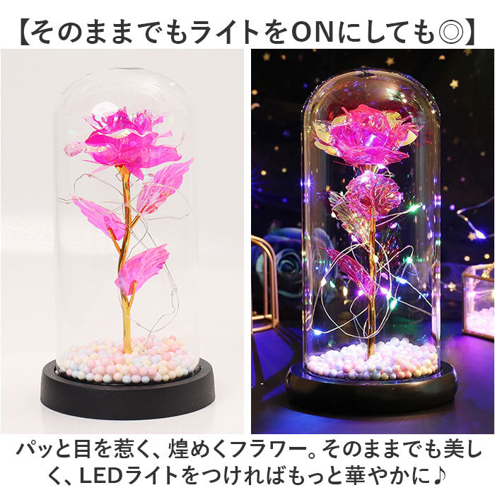 バックヤードファミリー BACKYARD FAMILY ガラスドーム 飾り おしゃれ LED付き （ブルー） ブルー