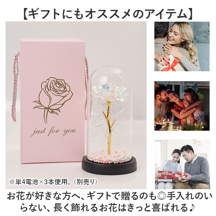 バックヤードファミリー BACKYARD FAMILY ガラスドーム 飾り おしゃれ LED付き （ブルー） ブルー