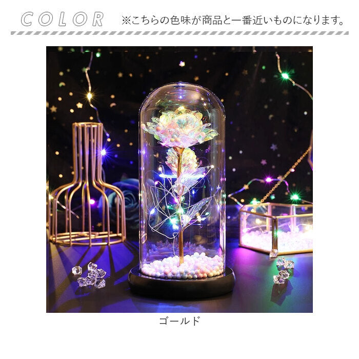 バックヤードファミリー BACKYARD FAMILY ガラスドーム 飾り おしゃれ LED付き （ブルー） ブルー