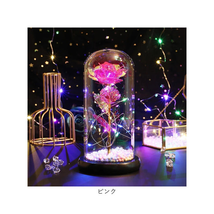 バックヤードファミリー BACKYARD FAMILY ガラスドーム 飾り おしゃれ LED付き （ブルー） ブルー