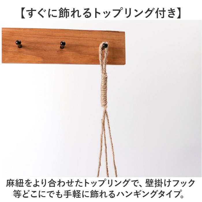 バックヤードファミリー BACKYARD FAMILY 光触媒 ハンギングバスケット （クレマチス） クレマチス