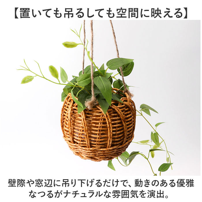 バックヤードファミリー BACKYARD FAMILY 光触媒 ハンギングバスケット （クレマチス） クレマチス