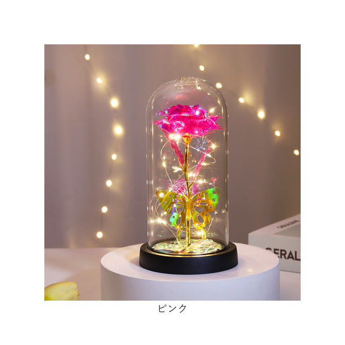 バックヤードファミリー BACKYARD FAMILY ガラスドーム 飾り おしゃれ LED付き