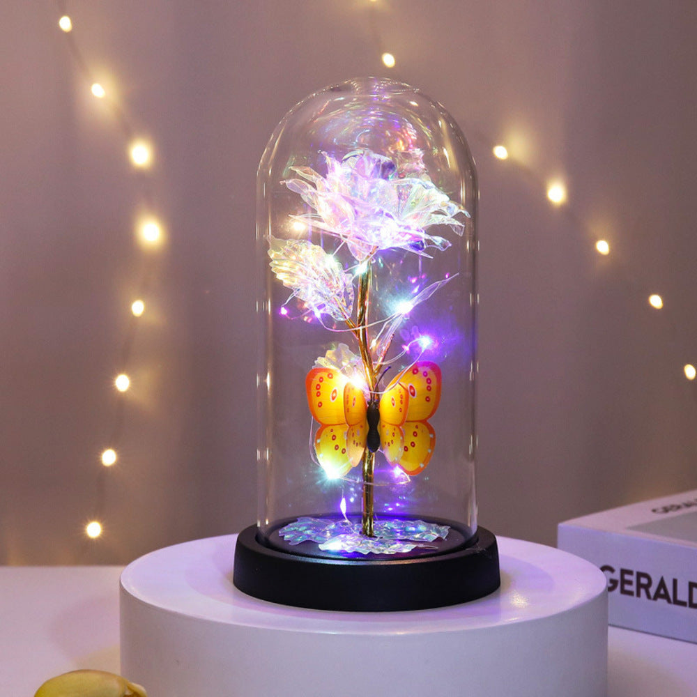 Backyard Family Glass Dome Decoration Stylish with LED