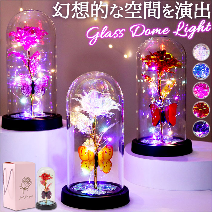 Backyard Family Glass Dome Decoration Stylish with LED