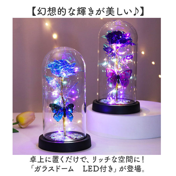 Backyard Family Glass Dome Decoration Stylish with LED