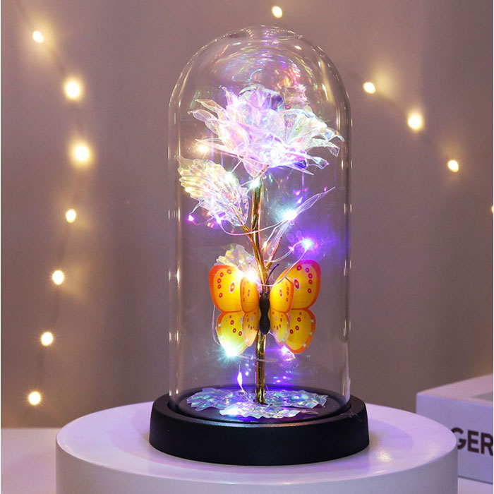 Backyard Family Glass Dome Decoration Stylish with LED