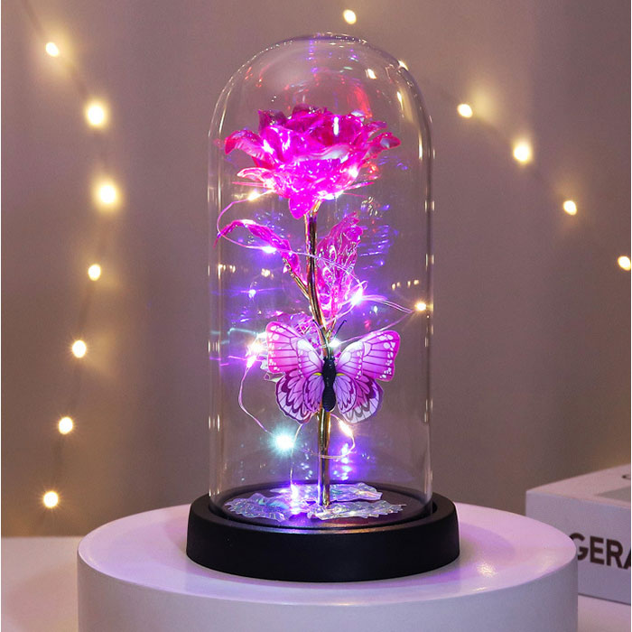 Backyard Family Glass Dome Decoration Stylish with LED