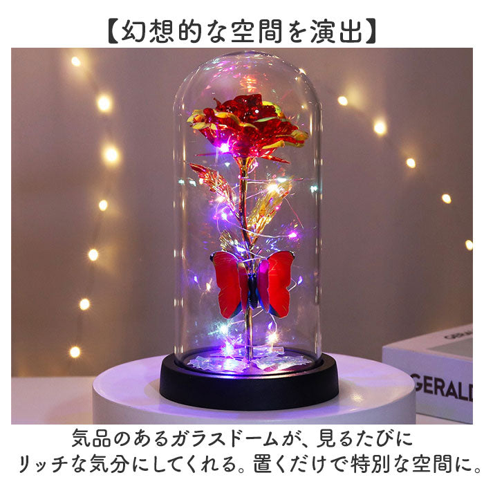Backyard Family Glass Dome Decoration Stylish with LED