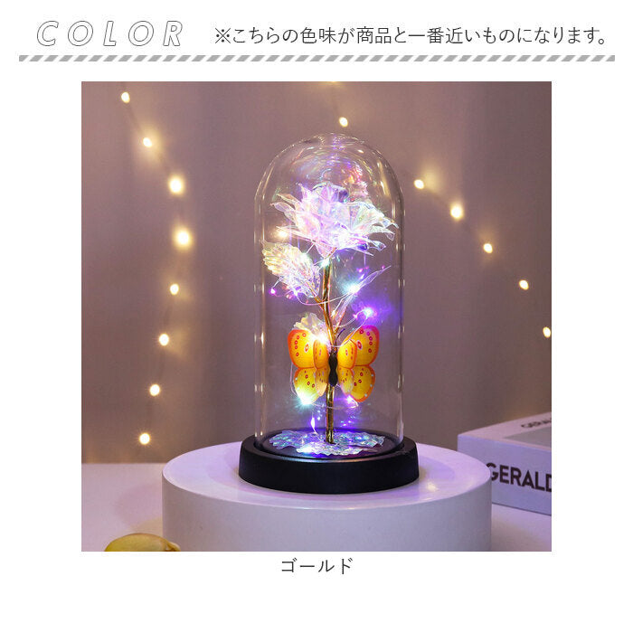 Backyard Family Glass Dome Decoration Stylish with LED
