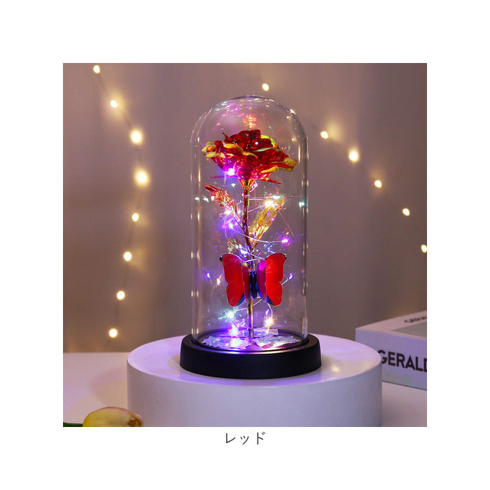 Backyard Family Glass Dome Decoration Stylish with LED