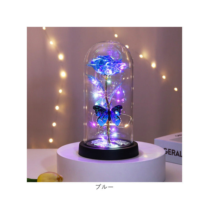 Backyard Family Glass Dome Decoration Stylish with LED