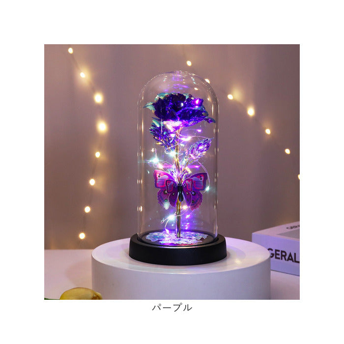 Backyard Family Glass Dome Decoration Stylish with LED