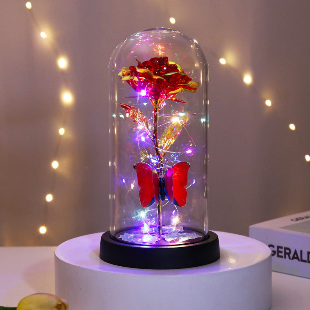 Backyard Family Glass Dome Decoration Stylish with LED