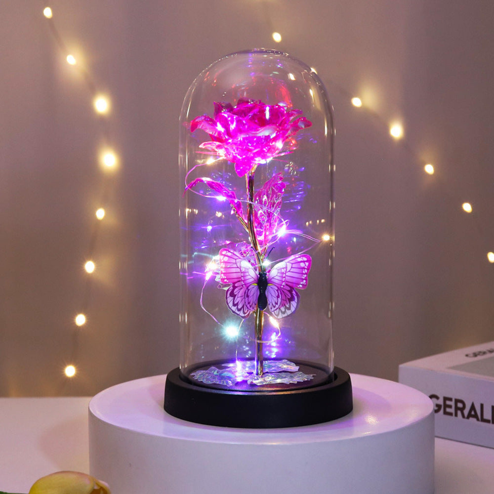 Backyard Family Glass Dome Decoration Stylish with LED