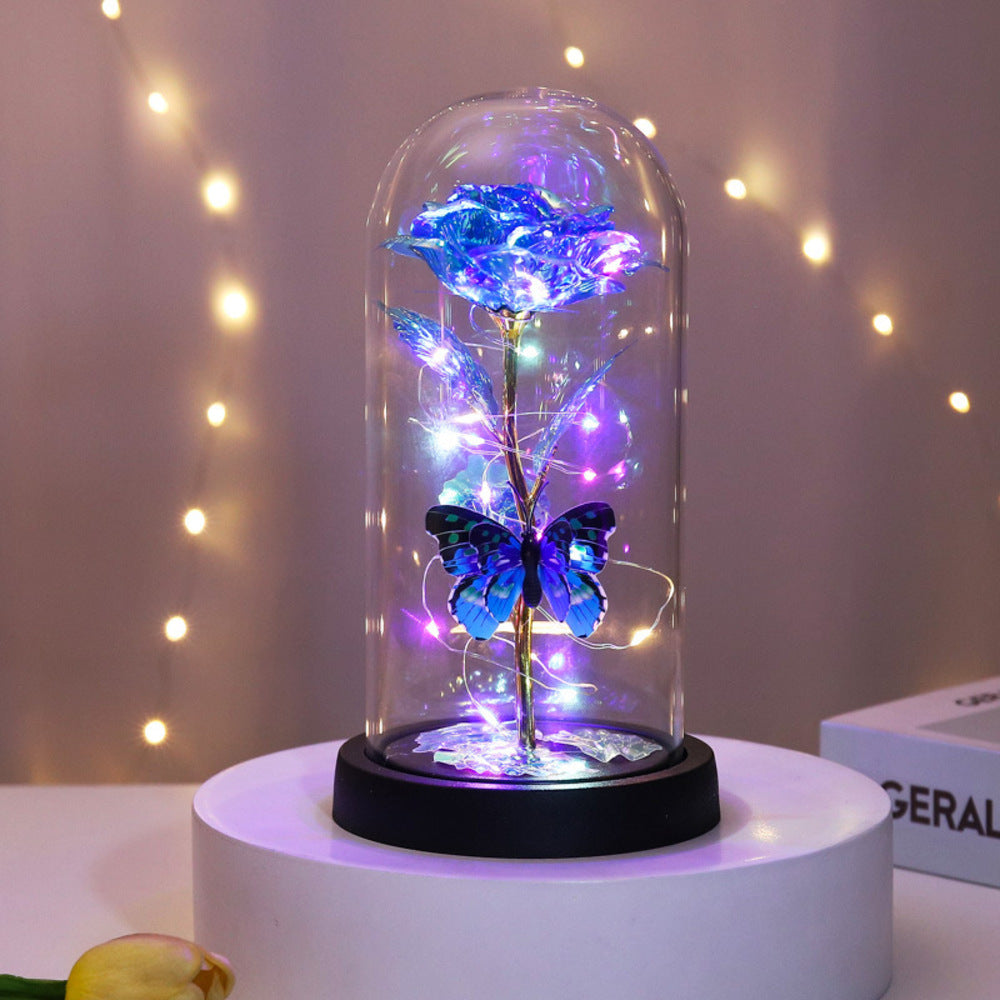 Backyard Family Glass Dome Decoration Stylish with LED