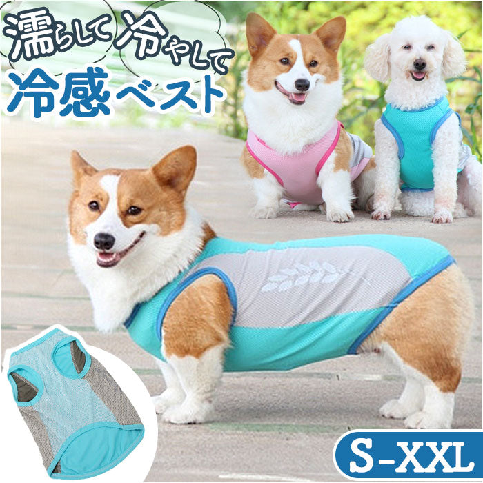 バックヤードファミリー BACKYARD FAMILY 犬用 クールベスト【返品不可商品】 （ピンク） ピンク