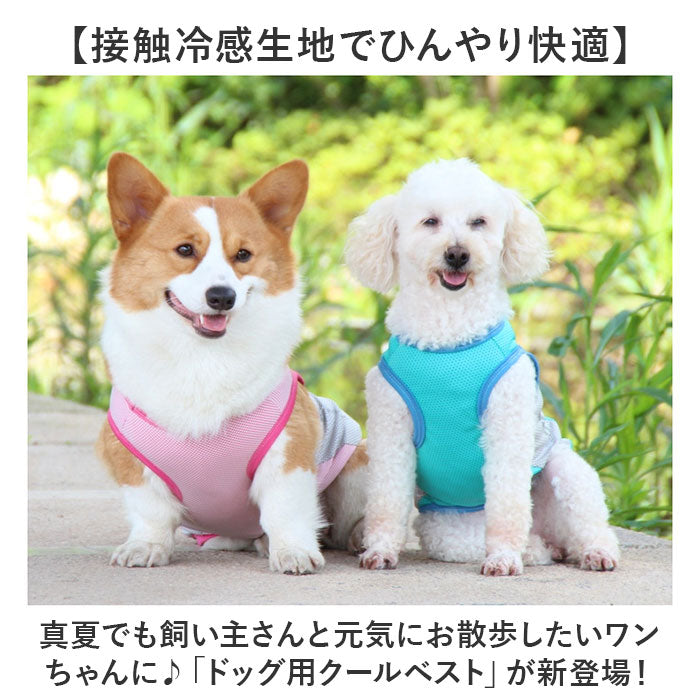バックヤードファミリー BACKYARD FAMILY 犬用 クールベスト【返品不可商品】 （ピンク） ピンク