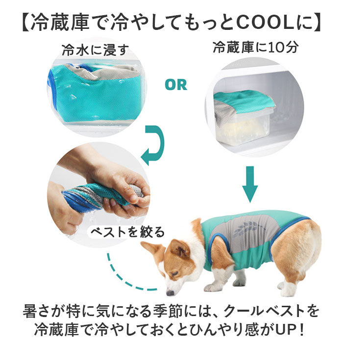バックヤードファミリー BACKYARD FAMILY 犬用 クールベスト【返品不可商品】 （ピンク） ピンク