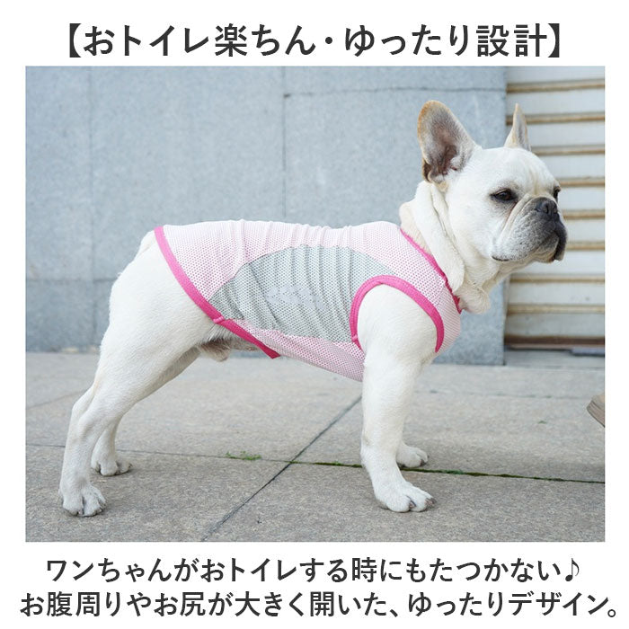 バックヤードファミリー BACKYARD FAMILY 犬用 クールベスト【返品不可商品】 （ピンク） ピンク