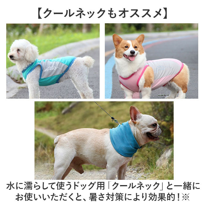 バックヤードファミリー BACKYARD FAMILY 犬用 クールベスト【返品不可商品】 （ピンク） ピンク