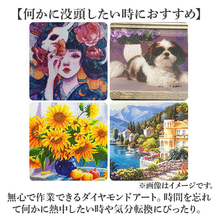 バックヤードファミリー BACKYARD FAMILY ダイヤモンドアート （丸ビーズ） 丸ビーズ