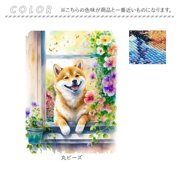 バックヤードファミリー BACKYARD FAMILY ダイヤモンドアート （丸ビーズ） 丸ビーズ
