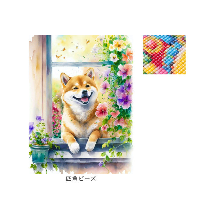 バックヤードファミリー BACKYARD FAMILY ダイヤモンドアート （丸ビーズ） 丸ビーズ