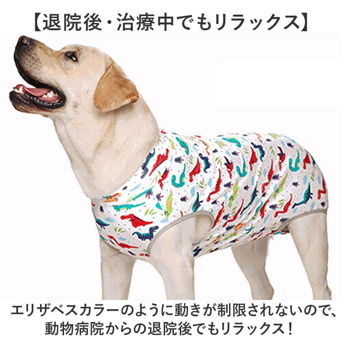 バックヤードファミリー BACKYARD FAMILY 大型犬 ペット 術後服 傷舐め防止【返品不可商品】 （レインボー） レインボー