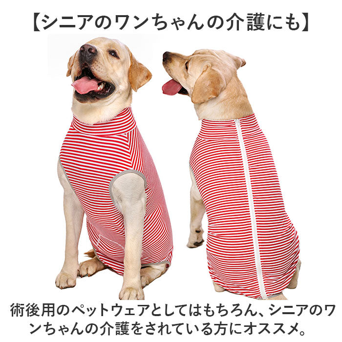 バックヤードファミリー BACKYARD FAMILY 大型犬 ペット 術後服 傷舐め防止【返品不可商品】 （レインボー） レインボー
